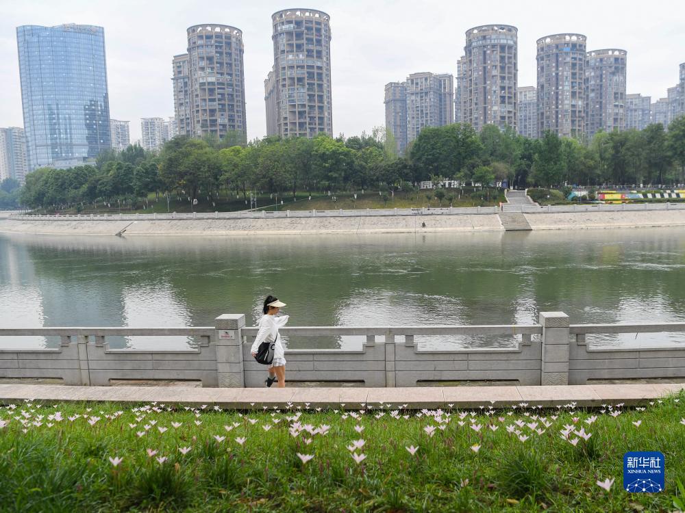 摆脱游戏手机官网